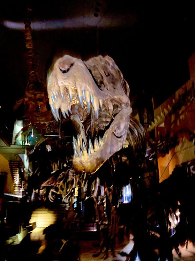 いのちのたび博物館