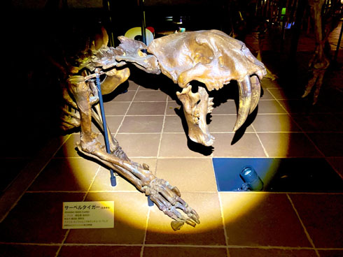 いのちのたび博物館