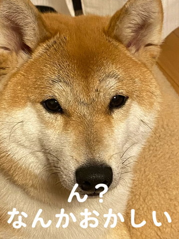 なんかおかしいテロップ