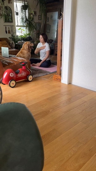 ぼーっと座る犬