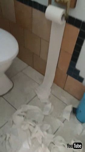 トイレットペーパーが散乱