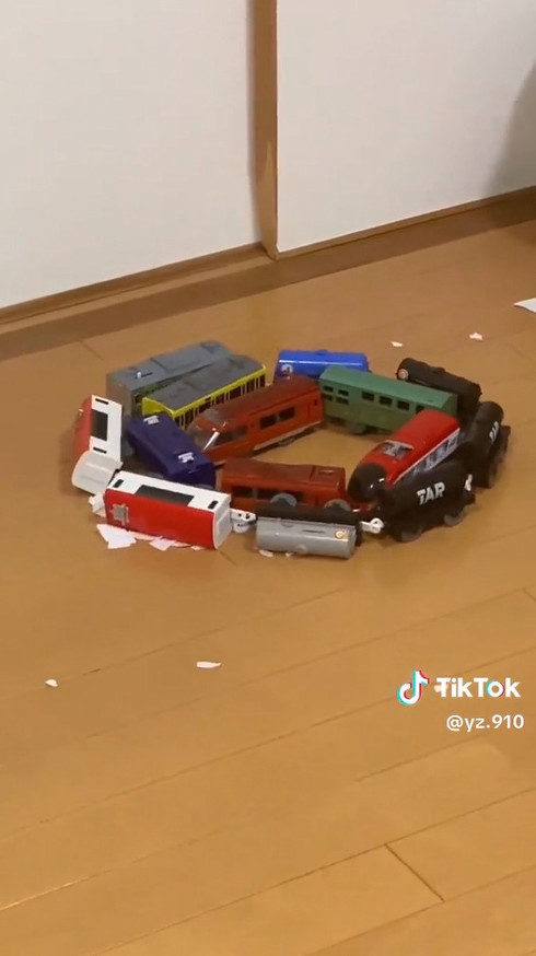 ルンバ　掃除ロボット　ゆづっこ