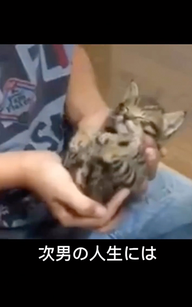 猫とともに育った次男