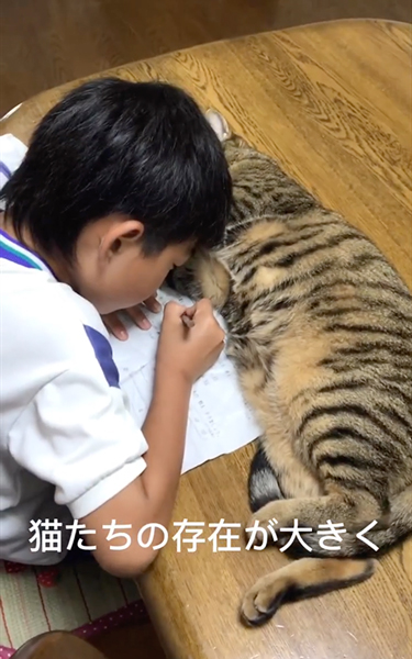 猫とともに育った次男