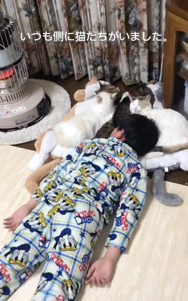 猫とともに育った次男