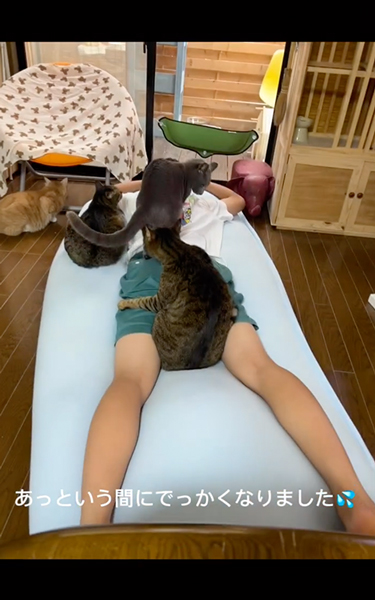 猫とともに育った次男