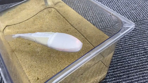 サカバンバスピス