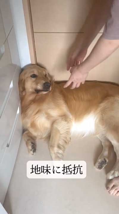 どちらも大変です