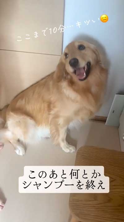 シャンプー開始するまでの時間