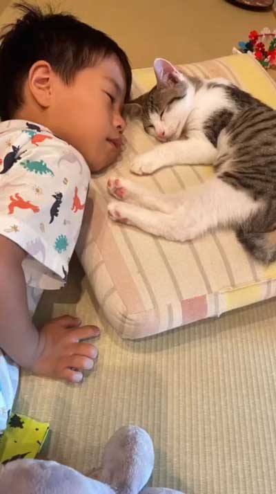 子どもと一緒にねる猫