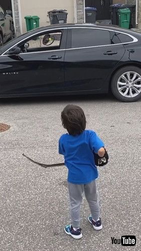 「Boy Makes Incredible Trick Shots With Hockey Stick || ViralHog」