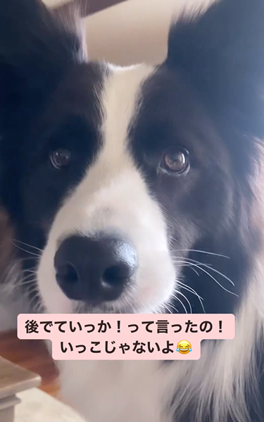 かわいい聞き間違い