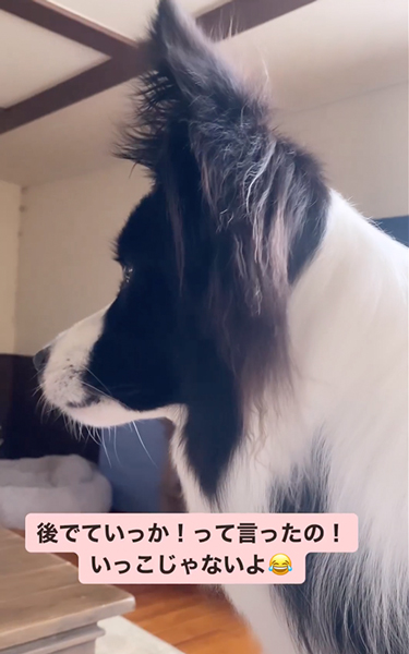 かわいい聞き間違い