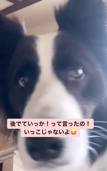 かわいい聞き間違い