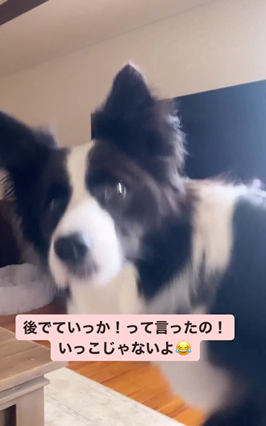 かわいい聞き間違い