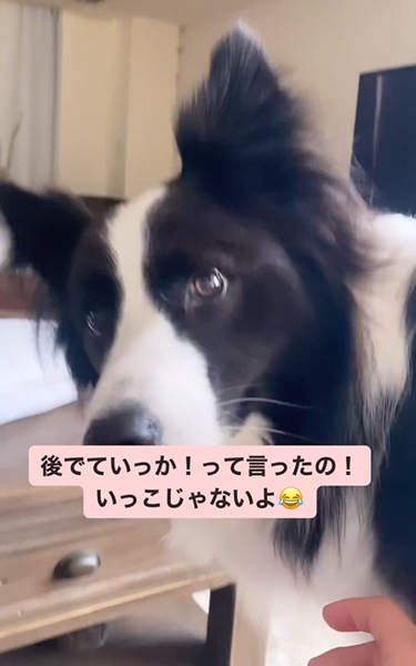 かわいい聞き間違い