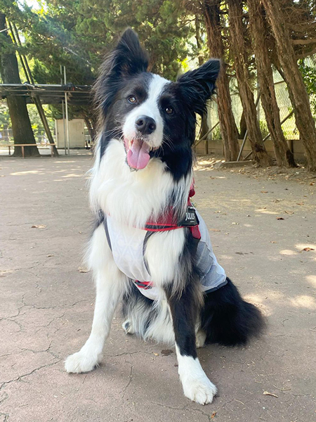 ドックランに誰もいなかった