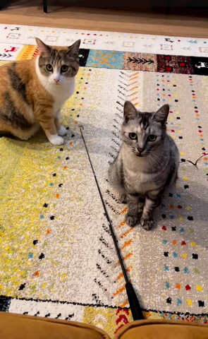おすすめ