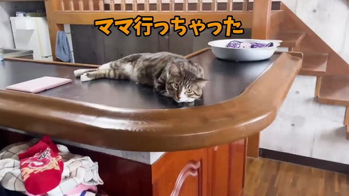 ママ行っちゃった