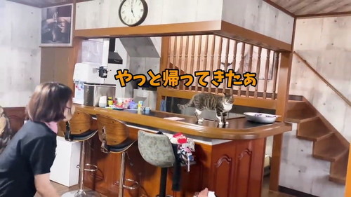 ママ帰って来た