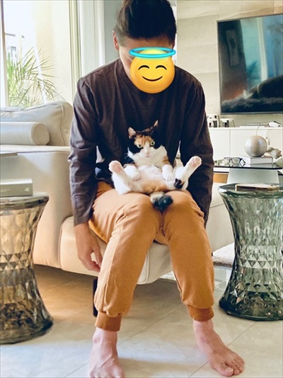 食後3分で絶望の表情を見せる猫