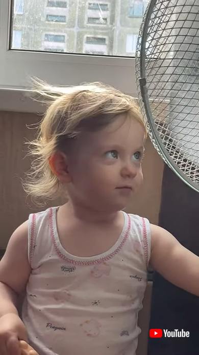 初めての扇風機