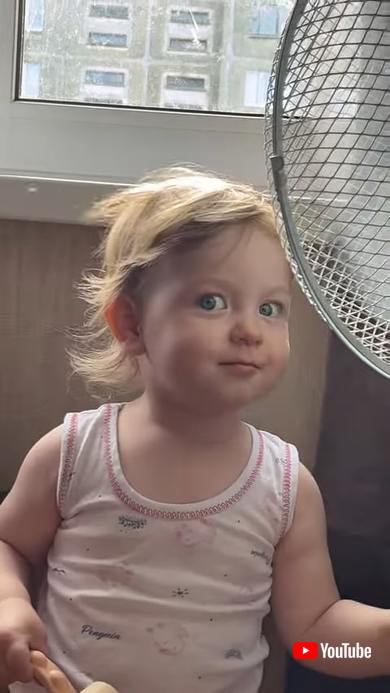 初めての扇風機