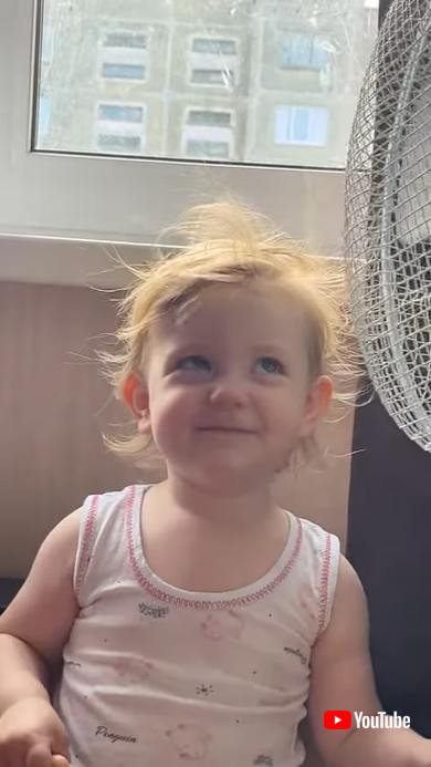 初めての扇風機