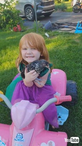 「Chicken Rides On Four-Wheeler || ViralHog」