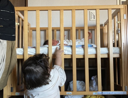 妹のお世話をしようとする1歳お姉ちゃん