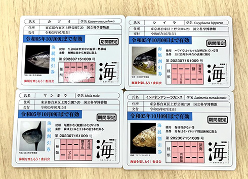 海展 魚 国立科学博物館