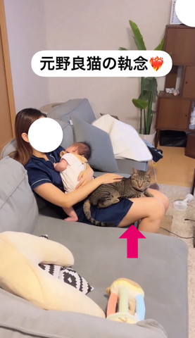 矢印テロップ