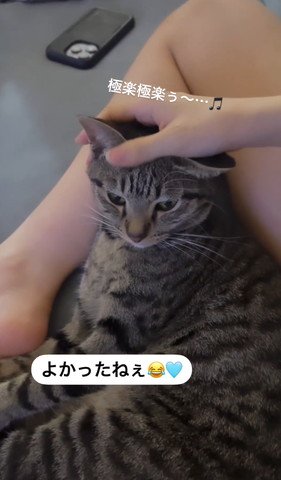 なでられてるワンコ