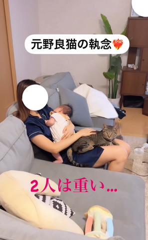 二人は重いテロップ