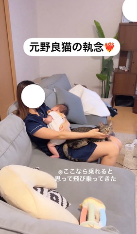 ここなら乗れると思ってテロップ