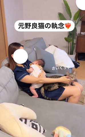 さいくぅやテロップ