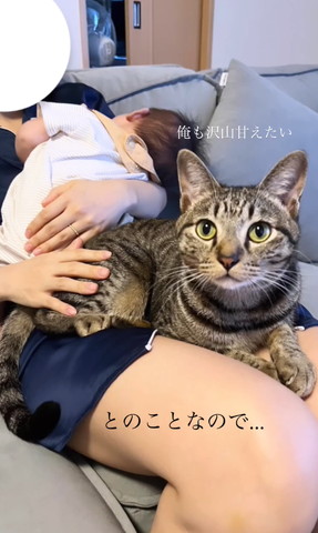 俺もたくさん甘えたいテロップ
