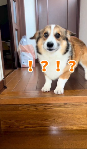 ビックリハテナテロップ