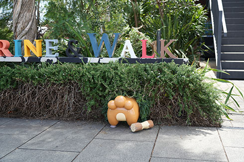 ポケジェニックの画像・ビッパ