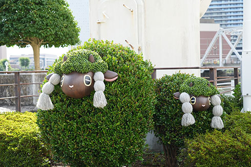 ポケジェニックの画像・04