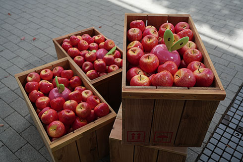 ポケジェニックの画像・07