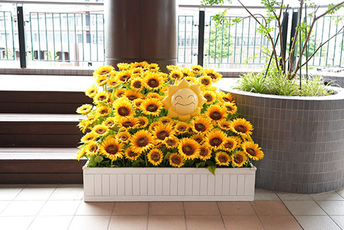 ポケジェニックの画像・17