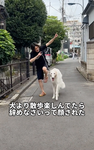 散歩を楽しむ飼い主と冷静なワンコ