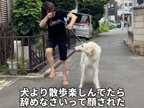 楽しむ人と引く犬