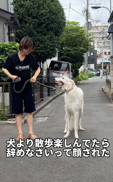 注意するワンコ