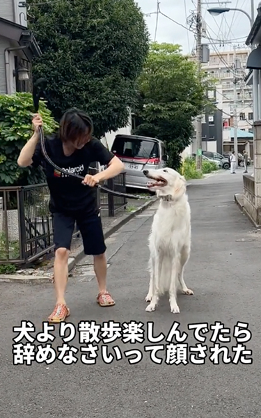 立ち止まるワンコ
