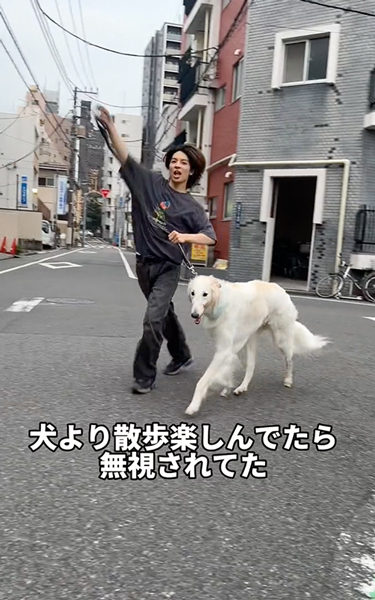 散歩を楽しむ飼い主と冷静なワンコ