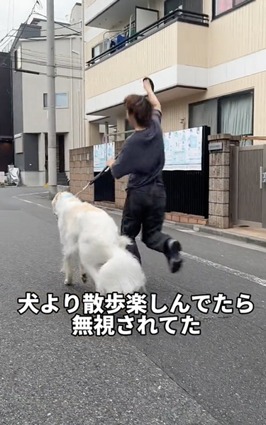 完全スルーワンコ