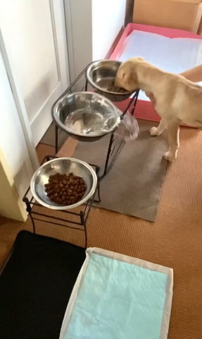 水がこぼれる瞬間