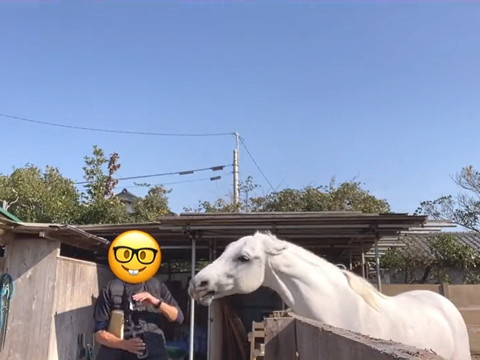 ひるむ男性スタッフと威嚇する馬の横顔